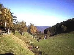 Affittacamere Waldgasthof Altersbach 3*